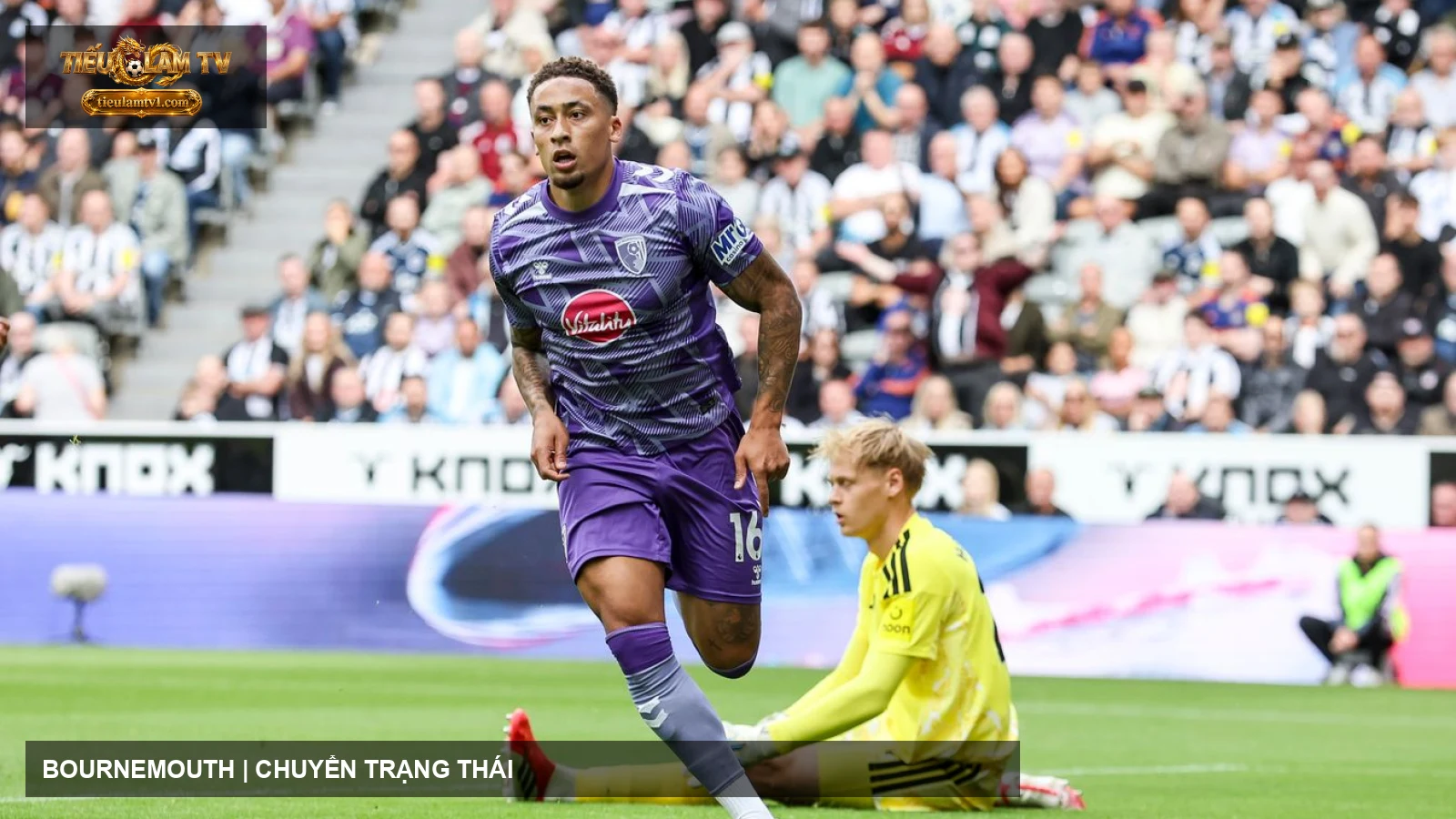 AFC Bournemouth thi đấu trong ảnh tư liệu