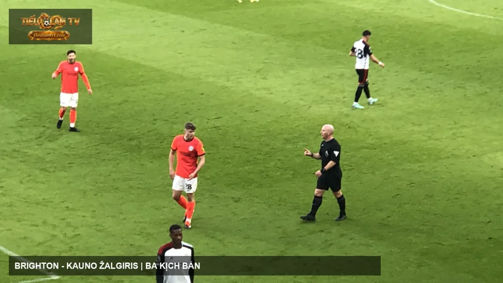 Cầu thủ Brighton & Hove Albion trong một trận Premier League