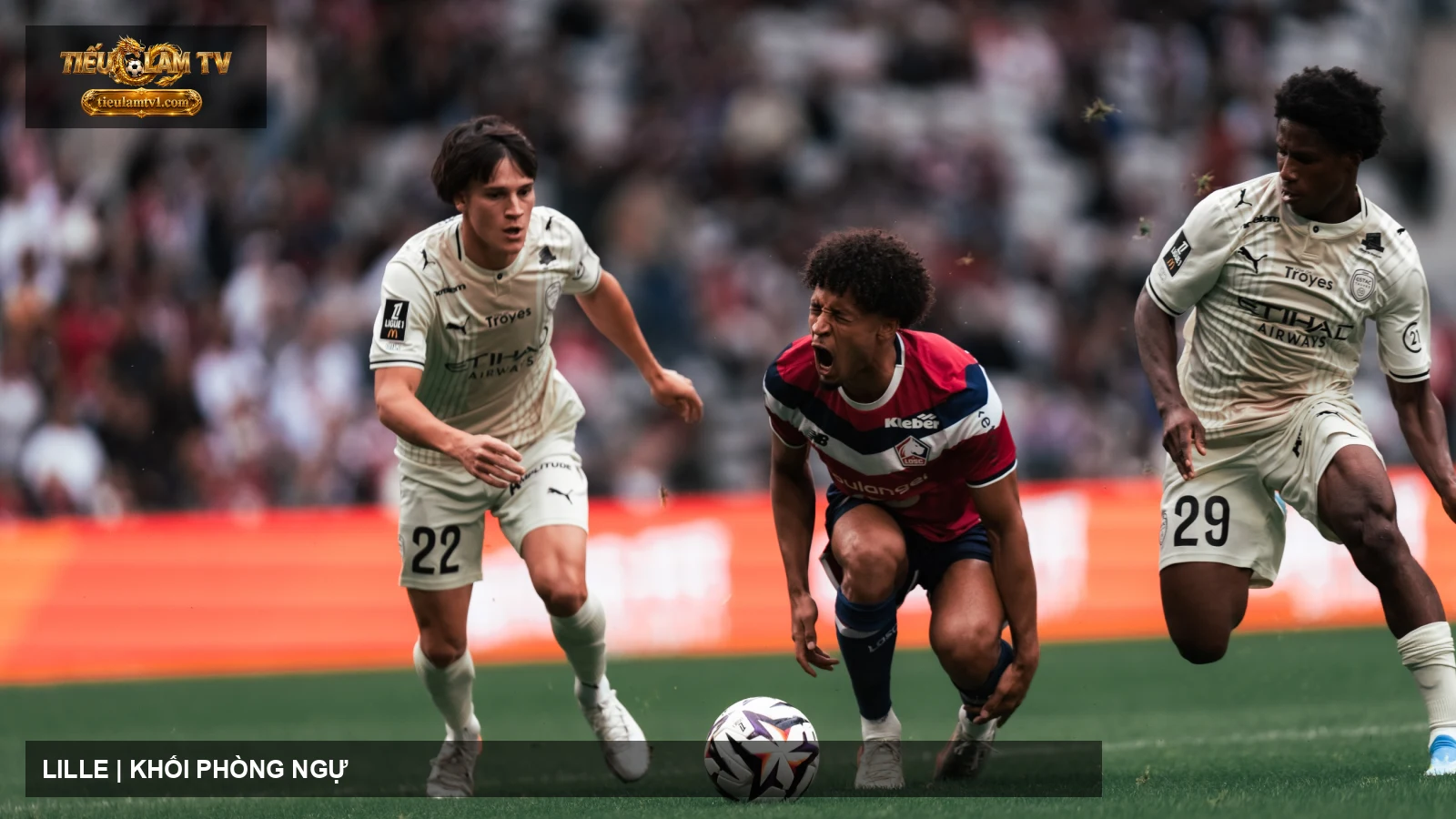 LOSC Lille thi đấu trong ảnh chính thức
